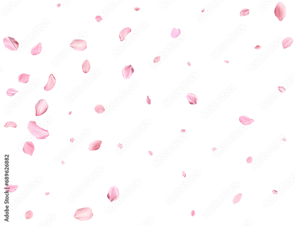 Pink Spring realistic sakura petals. Pink Spring realistic sakura petals.