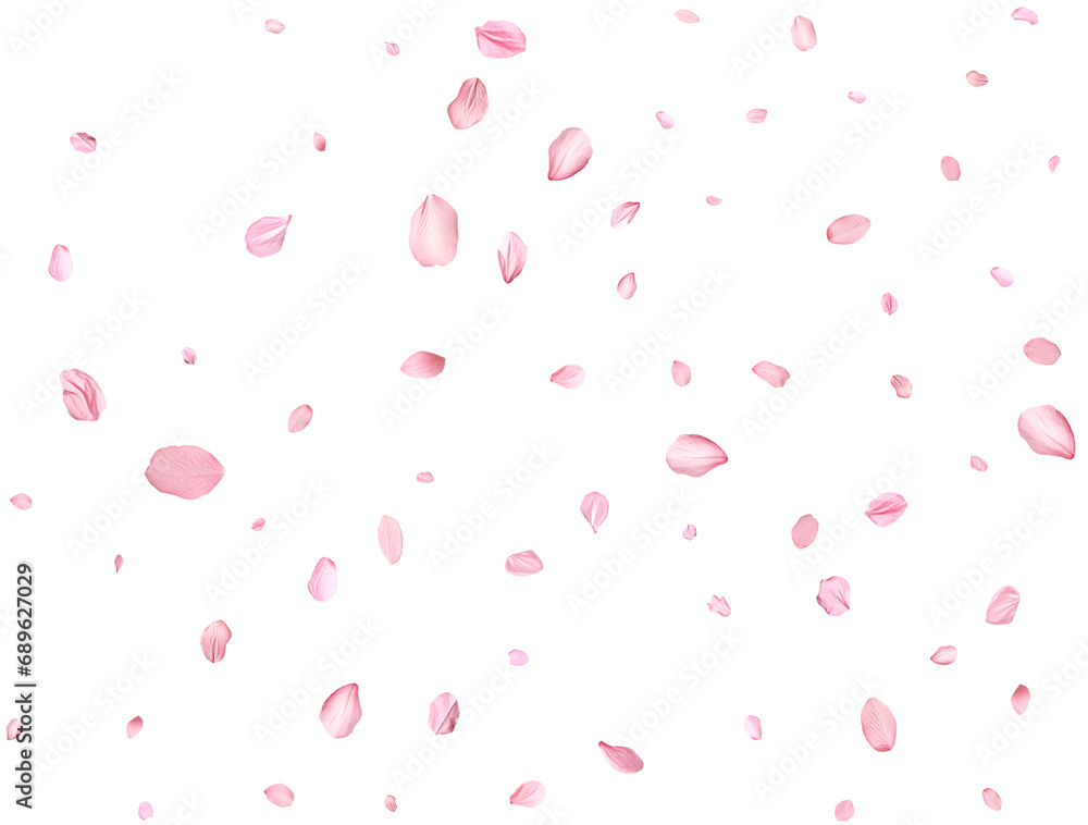 Pink Spring realistic sakura petals.