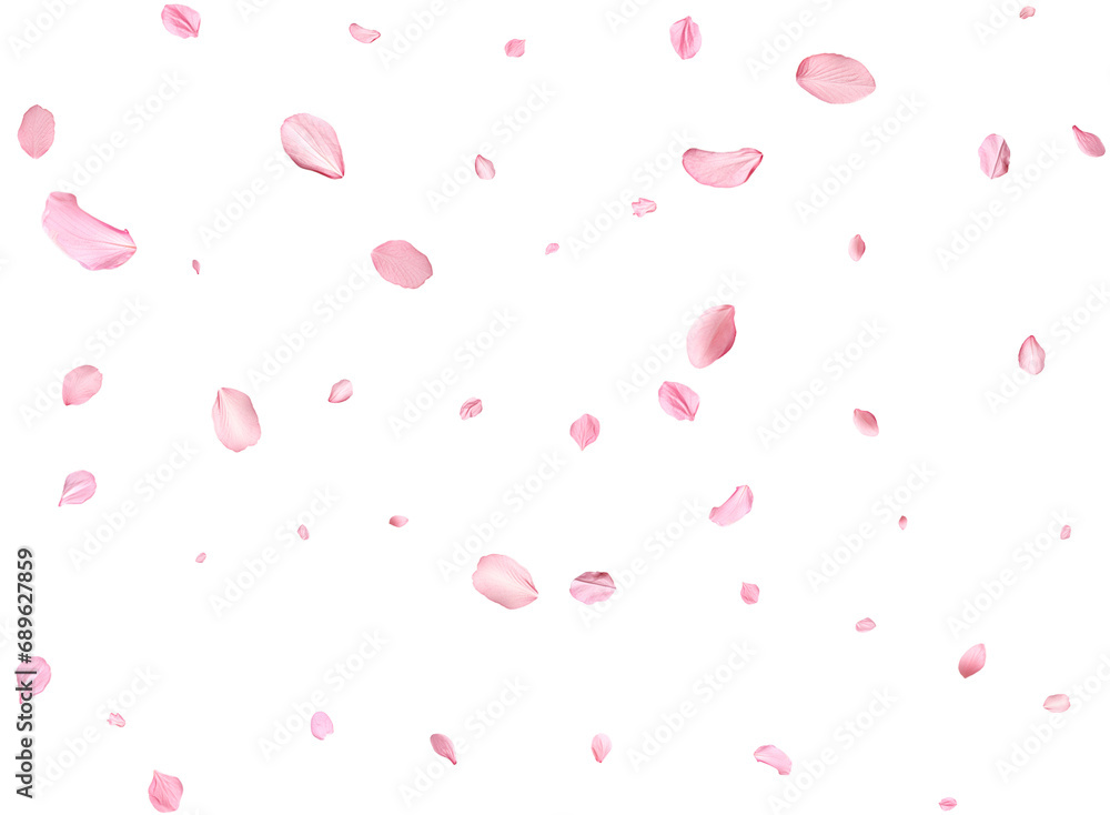 Pink Spring realistic sakura petals. Pink Spring realistic sakura petals.