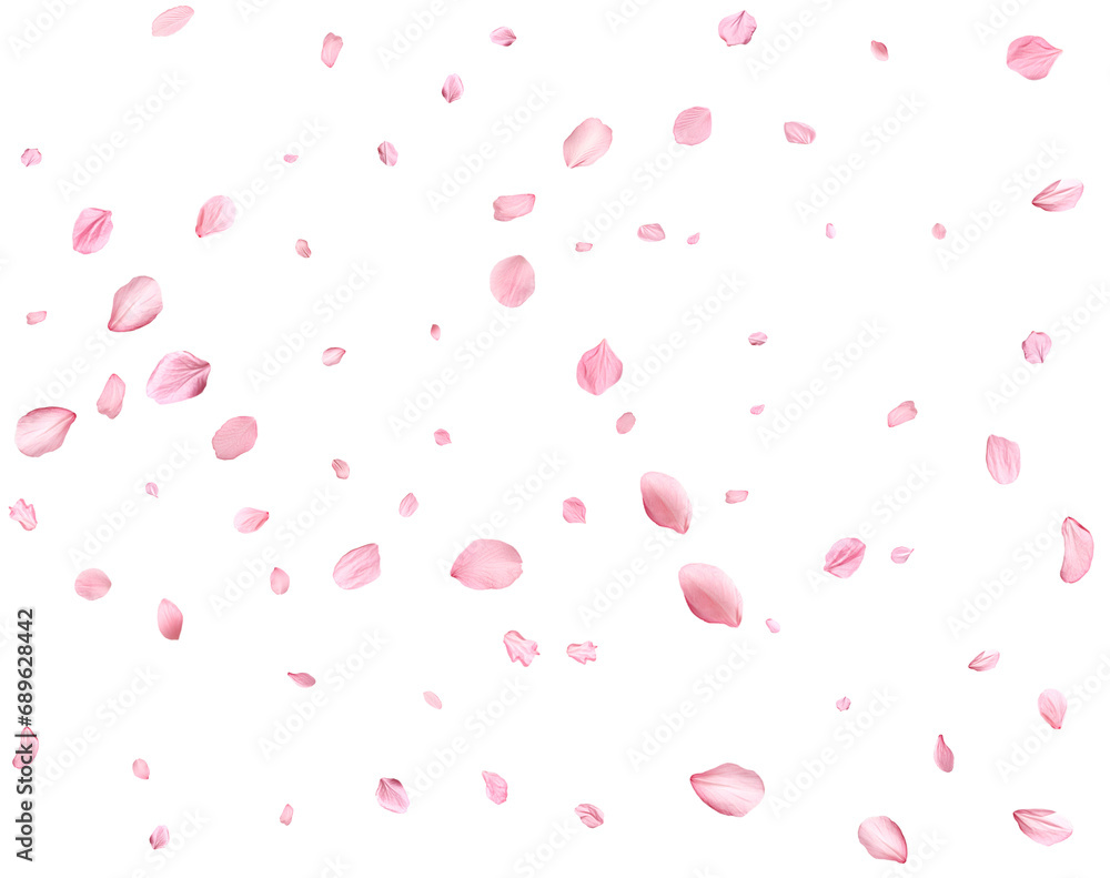 Pink Spring realistic cherry petals.
