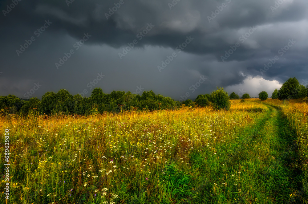 Dramatic sky with gray rainy clouds over flowering summer meadow before storm