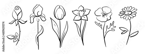 Hand drawn sketch wildflowers set. Vector illustration of medical herbs and flowers. Line art.