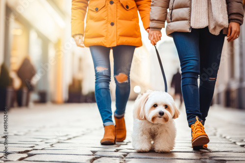 Couple walking on street with a dog, close up photo. Wearing jeans, casual outfit on sunny autumn day. Fluffy small dog on a leash. City urban life. photo
