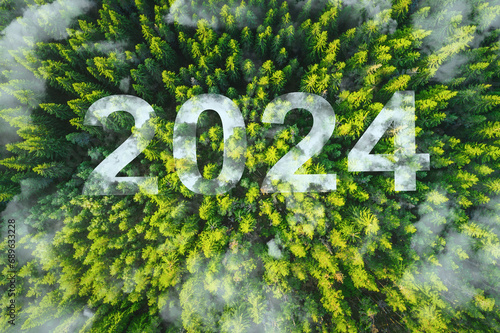 Fototapeta Naklejka Na Ścianę i Meble -  New year 2024 environment inspirational abstract nature background of pine trees in a mountain forest and clouds aerial top view