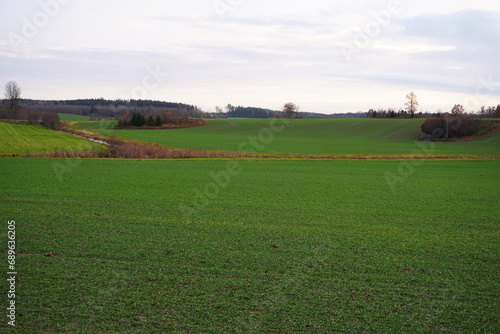 Scenic view of a field during sunset