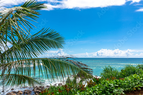 Beautiful Indian Ocean coastline on the island of Sri Lanka, Mirissa.