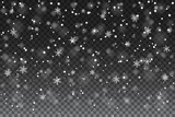 Falling realistic snowflakes on a transparent background for winter decor. New Year and Christmas background with snow in the air. Snow wallpaper, decorative element.