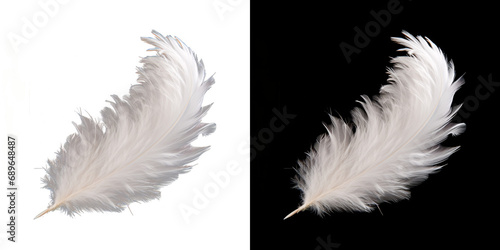 Realistic translucent white feather isolated on transparent background. 