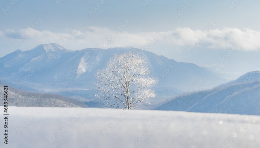 美しい銀世界　冬の雪山美しい樹氷