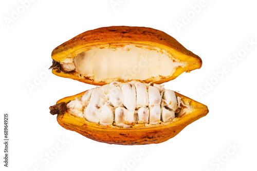 Yellow Cocoa pods old cut in half with seeds. Clipping path. Cocoa beans are often used to make desserts such as ganache and chocolate. Theobroma cacao.  isolated on cut out PNG.