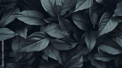 A captivating photo showcasing a background of lush leaves, embodying aesthetic minimalism. The wallpaper features a palette of dark sage colors, offering a serene and sophisticated vibe. photo