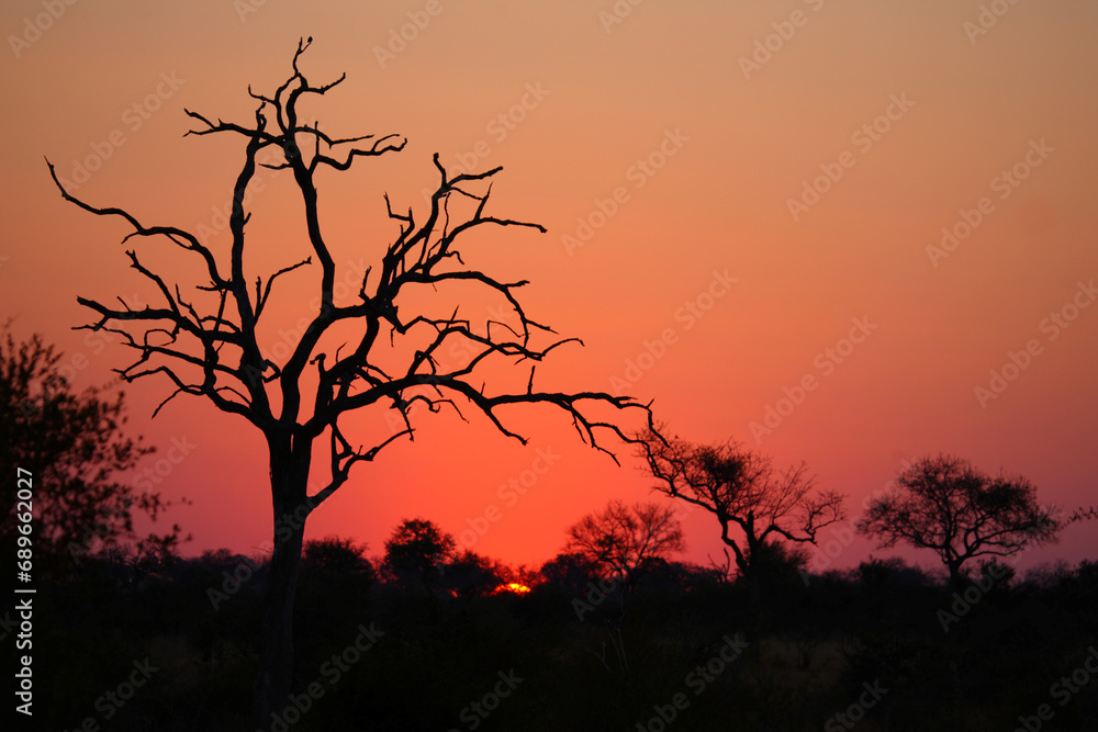 Sonnenuntergang - Krüger Park - Südafrika / Sundown - Kruger Park - South Africa / Sonnenuntergang - Krüger Park - Südafrika / Sundown - Kruger Park - South Africa /
