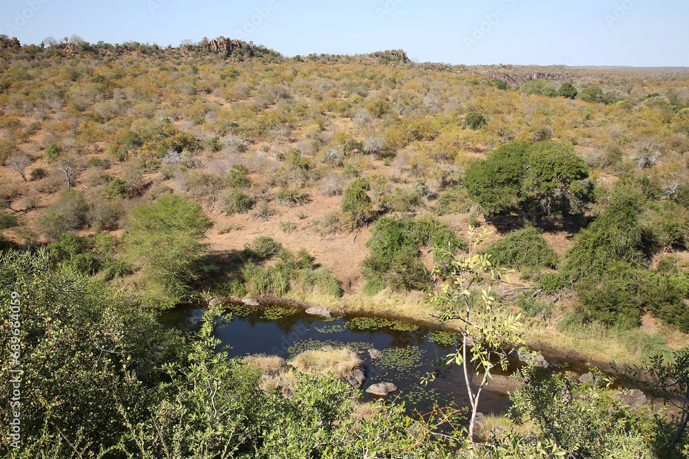 Afrikanischer Busch - Krügerpark - Sweni River / African Bush - Kruger Park - Sweni River /