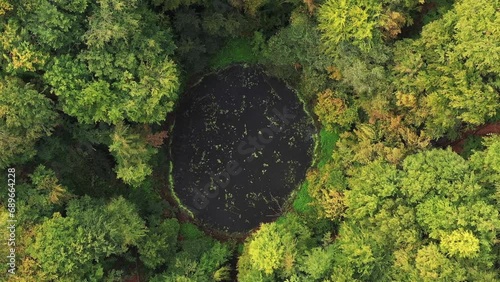 Aerial view of the crater Nasser Wolkenbruch with trees in early autumn, Trendelburg, Germany. photo