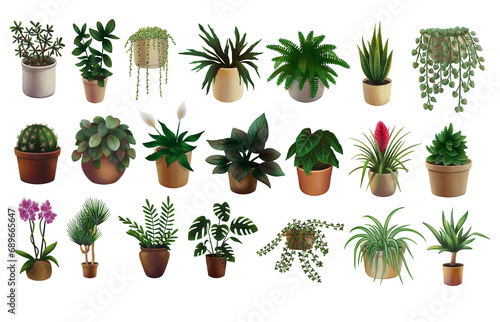 Set of home plants illustration