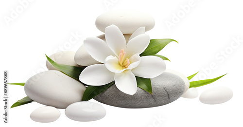 Tranquil spa stones complement lotus blooms  cut out