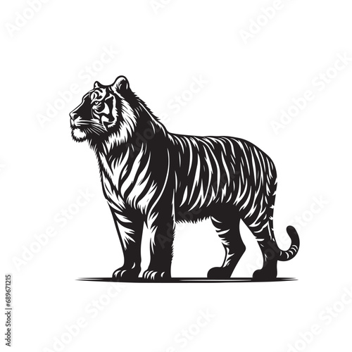 Tiger Silhouette Standing Proud in the Shadows Black Vector Tiger Standing Silhouette  © Verslood