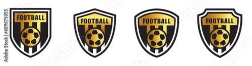 Football team logo, Soccer logo icon, vector illustration