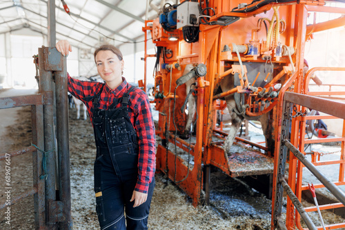 Portrait woman farmer master Pedicure of hooves cattle on background hydraulic device for holding cow during hoof trimming photo