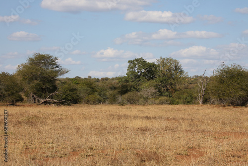 Afrikanischer Busch - Krügerpark / African Bush - Kruger Park / © Ludwig