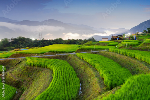 Obasute, Nagano, Japan Rice Terraces at Dusk photo