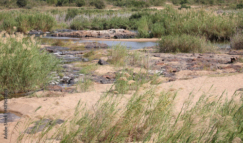 Afrikanischer Busch - Krügerpark - Crocodile River / African Bush - Kruger Park - Crocodile River /