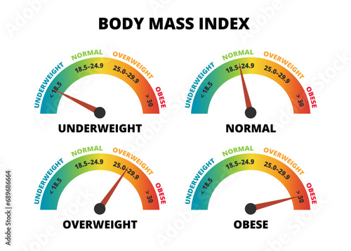 Vector infographic set of body mass index – BMI calculator isolated on white. Underweight, normal, overweight and obese. Indicator gauge scale. The body mass divided by the square of the body height. photo