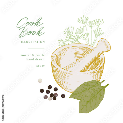 Mortar and pestle hand drawn illustration, kitchen tool and equipment. Culinary illustration
