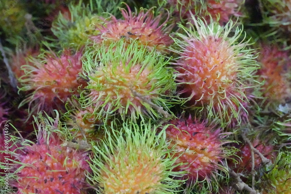 Rambutan is a tropical fruit known for its unique appearance and sweet, juicy flavor. Native to Southeast Asia, particularly Malaysia and Indonesia, it's closely related to lychees and longans.|紅毛丹 Rambutan is a tropical fruit known for its unique appearance and sweet, juicy flavor. Native to Southeast Asia, particularly Malaysia and Indonesia, it's closely related to lychees and longans.|紅毛丹