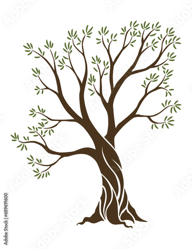 Olive trees with branches and leaves for design of packaging, label, logotype or banner. Natural organic stylized olive icon, premium quality sign. Vector illustration