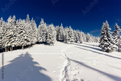 Winter © Leonid Tit