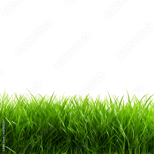 Grass isolated on transparent background