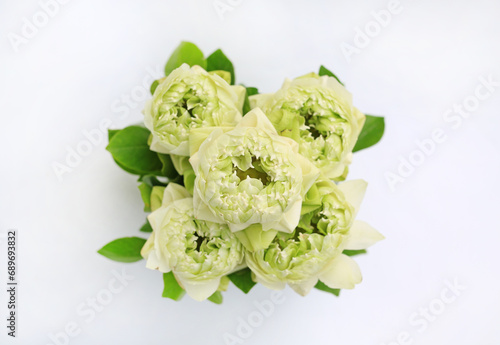 Beautiful bunch of white lotus flowers on white background, Flowers for offering. Top view.