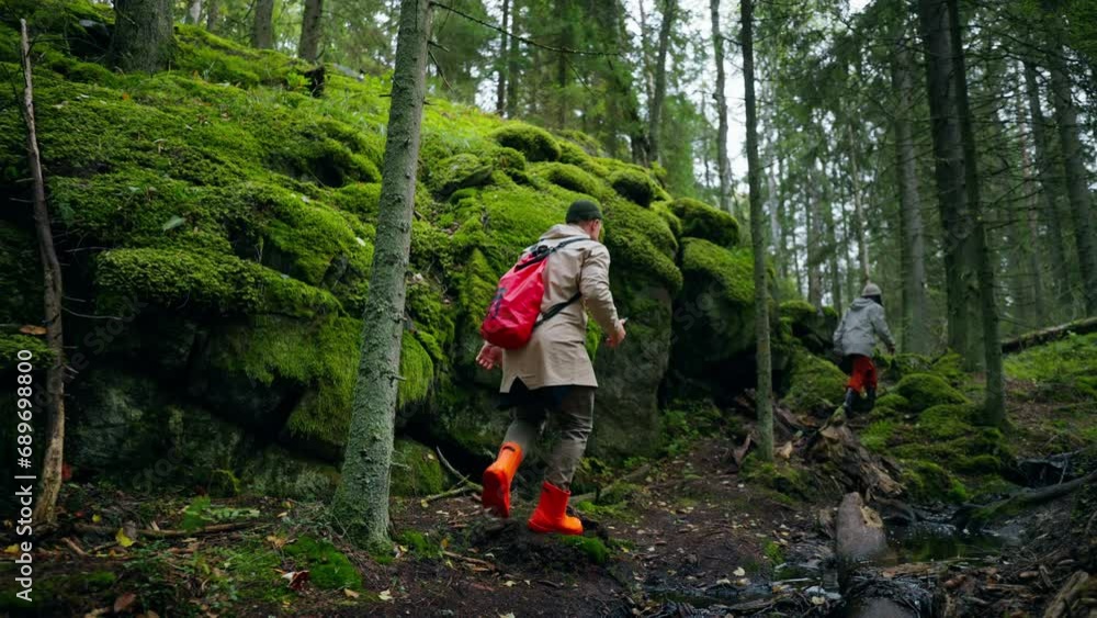 Travel In Fabulous Forest, Man And Woman Walking In Beautiful Woodland With Mossed Stones Travel In Fabulous Forest, Man And Woman Walking In Beautiful Woodland With Mossed Stones