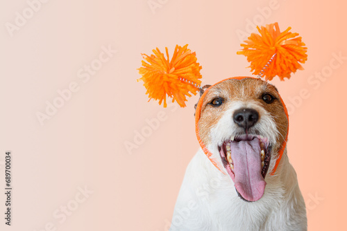 Happy excited dog wearing party hat with wide open mouth.