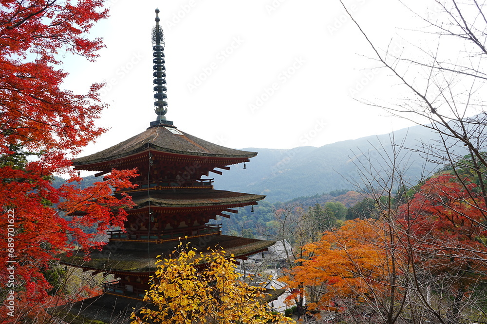 Hasedera Temple and Beautiful Autumn Japanese Garden in Nara, Japan - 日本 奈良 長谷寺 五重塔 秋の景色 Hasedera Temple and Beautiful Autumn Japanese Garden in Nara, Japan - 日本 奈良 長谷寺 五重塔 秋の景色