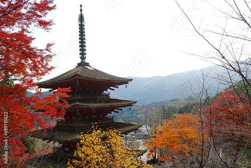 Hasedera Temple and Beautiful Autumn Japanese Garden in Nara  Japan -                                               