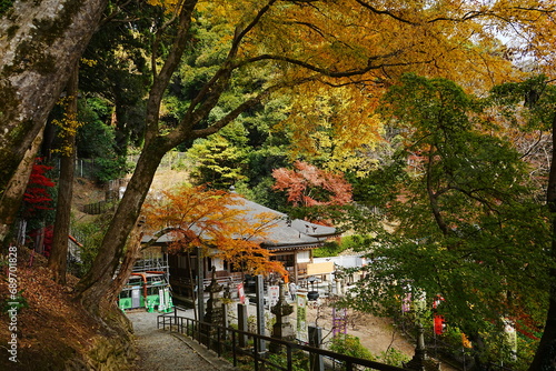Hasedera Temple and Beautiful Autumn Japanese Garden in Nara, Japan - 日本 奈良 長谷寺 秋の紅葉