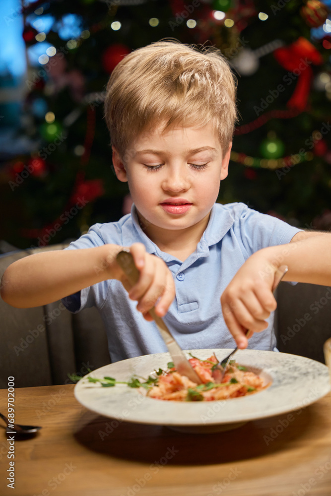 Cute little boy enjoying festive dinner during Christmas celebrating in restaurant Cute little boy enjoying festive dinner during Christmas celebrating in restaurant