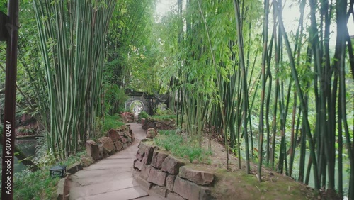 China Leshan Sansu Temple Garden Bamboo Forest photo