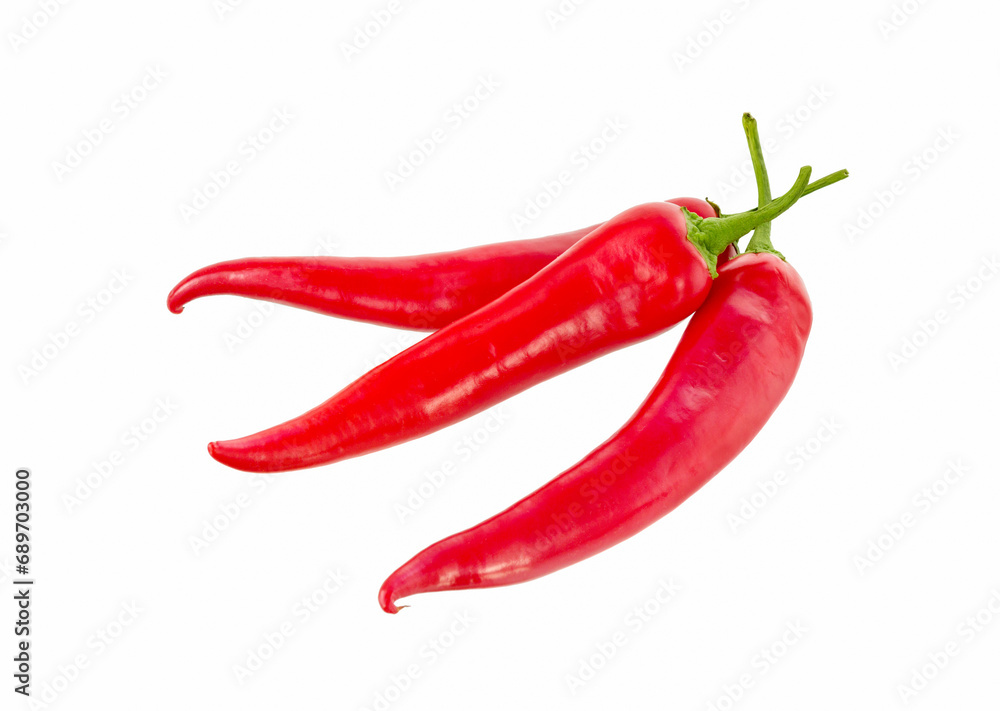 Chili hot pepper isolated.