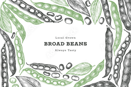 Hand drawn broad beans design template. Organic fresh food vector illustration. Retro pods illustration. Engraved botanical style cereal background.