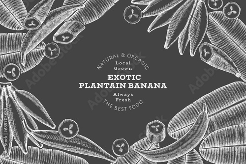 Hand drawn sketch style plantain banner. Organic fresh fruit vector illustration on chalk board. Retro exotic banana fruit design template