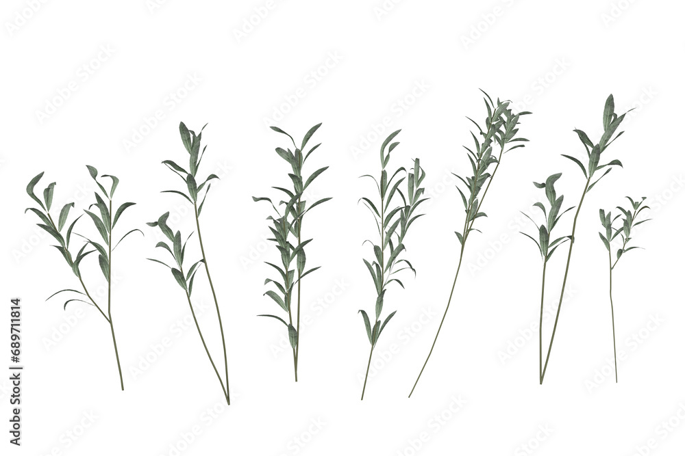 Fototapeta premium A set of green olive branch photos, isolated on white, 3d render