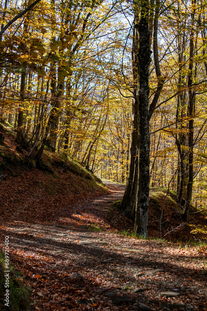 Fototapeta premium Sentiero per il Santuario della Madonna del Faggio, Porretta Terme, città metropolitana di Bologna, Emilia Romagna