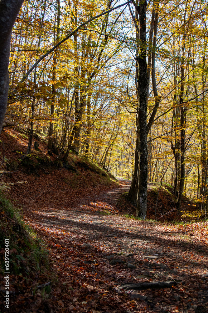 Sentiero per il Santuario della Madonna del Faggio, Porretta Terme, città metropolitana di Bologna, Emilia Romagna