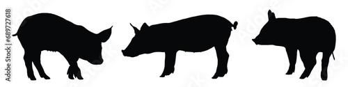 pig silhouette. pig vector illustration. photo