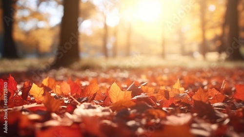 View of autumn maple leaves decorating the road and forest. beautiful natural bokeh background, colorful leaves wide panorama.