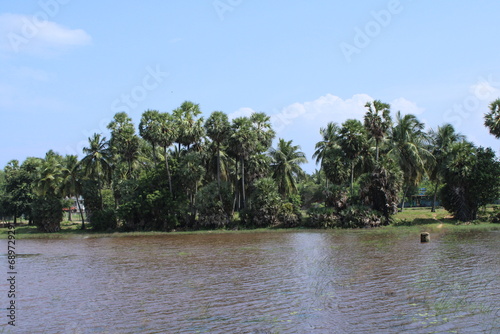 Canvas Print Capture the essence of nature's bounty through enchanting photographs of a serene farmstead, a lush palm tree garden, and a pristine water source