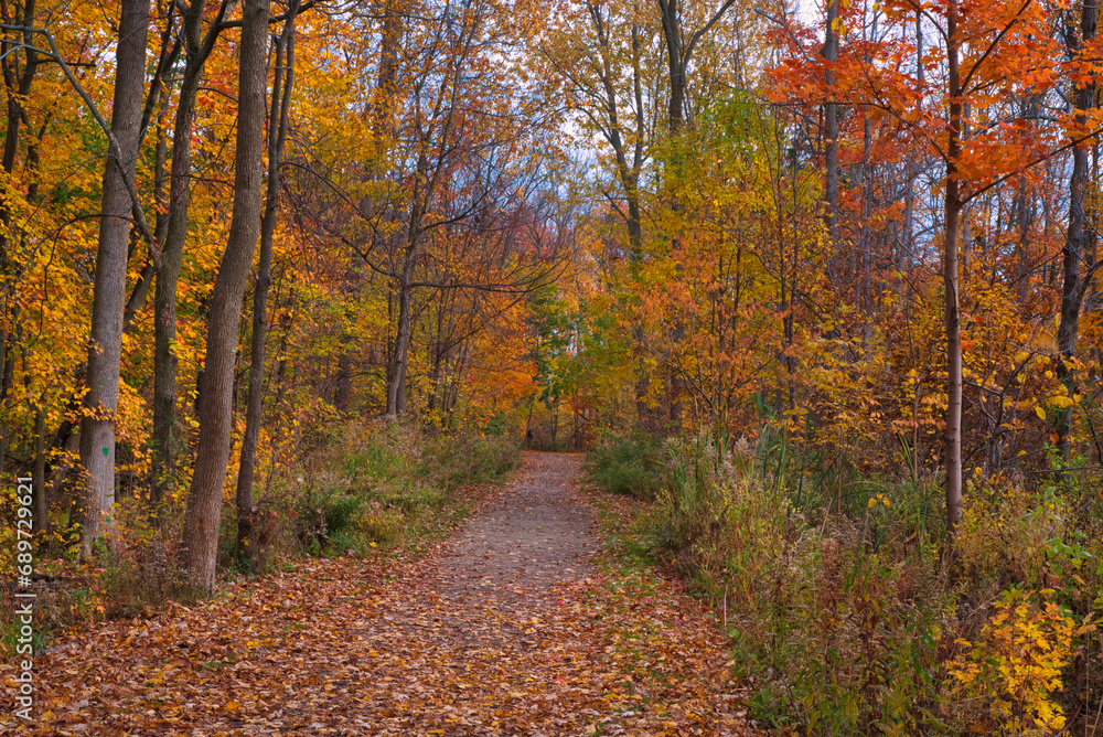 Obraz premium cool weather with fall colors